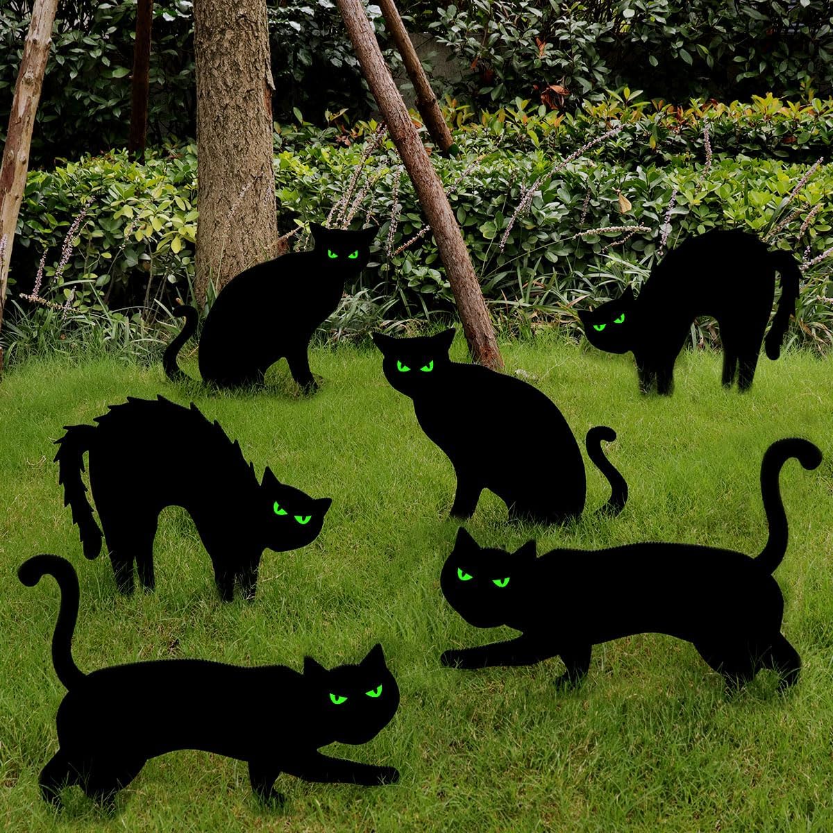 Halloween Decorations Outdoor, 6ct Black Cat Decor Yard Signs with Stakes, Scary Silhouette with Glow in Dark Eyes, Corrugated Plastic, Waterproof Lawn Decorations for Kids Family Home Party