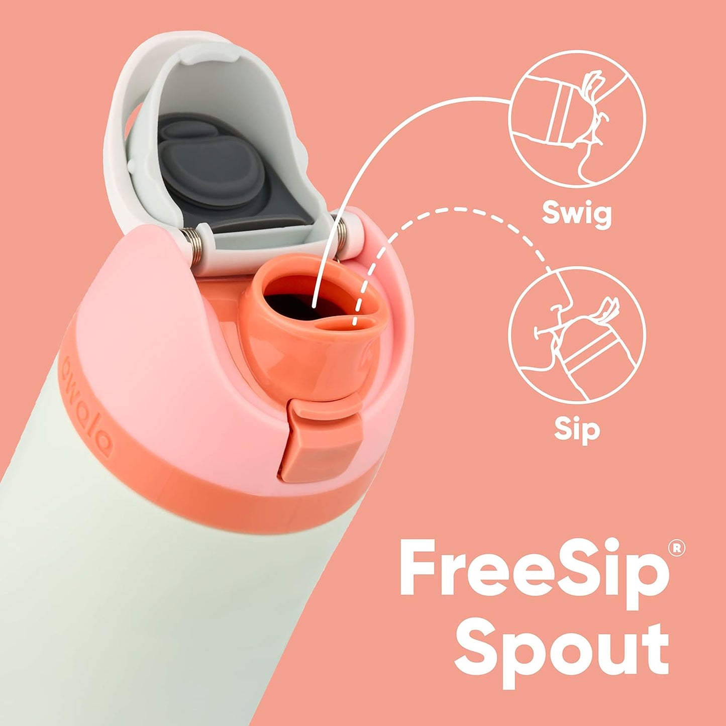 FreeSip Insulated Stainless Steel Water Bottle with Straw for Sports and Travel, BPA-Free, 24-oz, Grayt