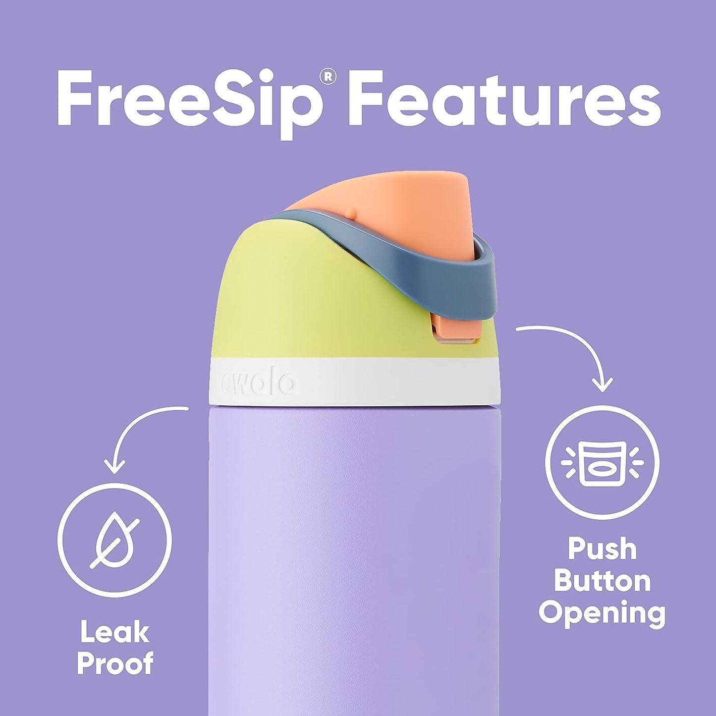 FreeSip Insulated Stainless Steel Water Bottle with Straw for Sports and Travel, BPA-Free, 24-oz, Grayt