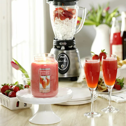 Sunday Brunch Collection by Candle Large Jar Scented Candle, White Strawberry Bellini