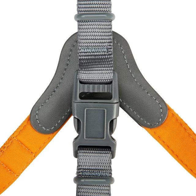 Dog Harness-Neoprene Comfort Liner-Orange and Gray, Small