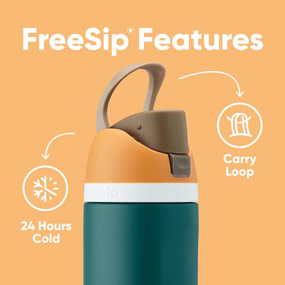 FreeSip Insulated Stainless Steel Water Bottle with Straw for Sports and Travel, BPA-Free, 24-oz, Grayt